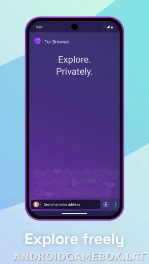 Tor Browser скриншот 5